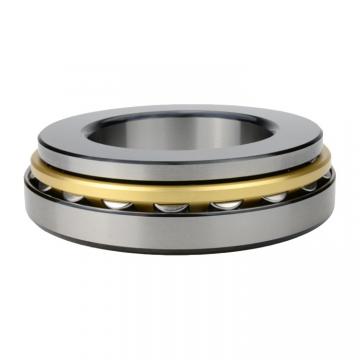 6.693 Inch | 170 Millimeter x 8.465 Inch | 215 Millimeter x 0.866 Inch | 22 Millimeter  INA SL181834  Cylindrical Roller Bearings