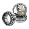 1.575 Inch | 40 Millimeter x 2.677 Inch | 68 Millimeter x 0.827 Inch | 21 Millimeter  INA SL183008-BR  Cylindrical Roller Bearings