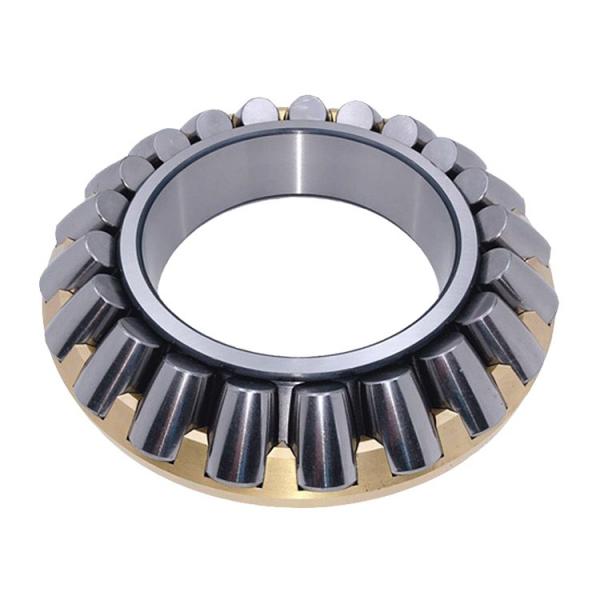 17 mm x 40 mm x 12 mm  FAG N203-E-TVP2  Cylindrical Roller Bearings #1 image